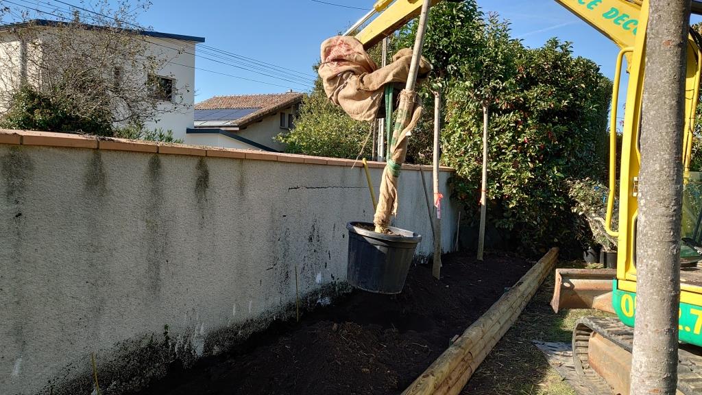Plantation de gros sujets avec engins mécaniques