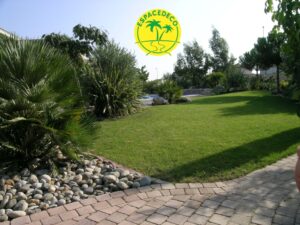 Aménagement de vos jardins à Toulouse