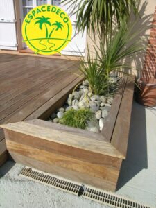 Aménagement d'une jardinière à Pin Balma