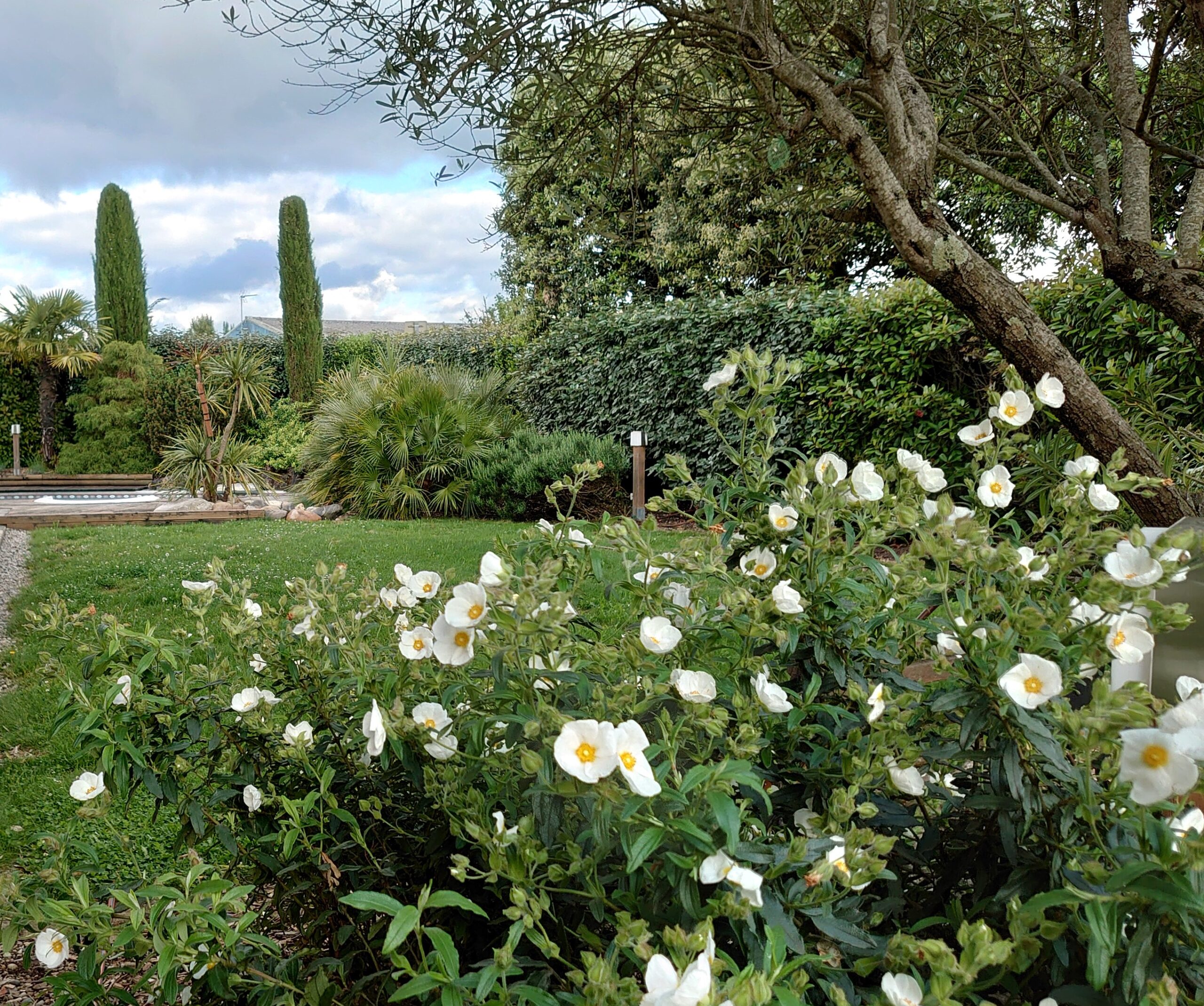 Décoration en pierre