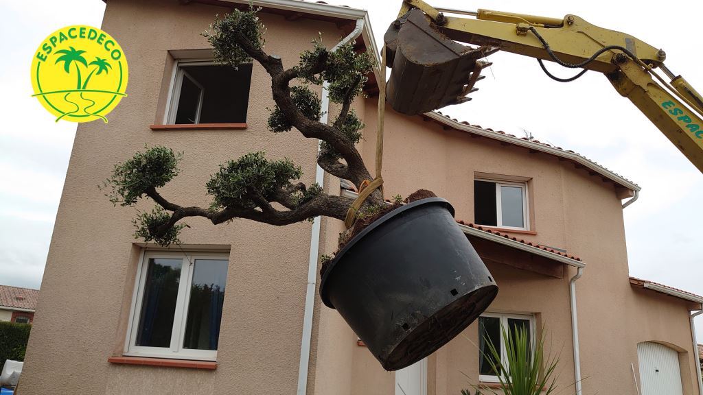 Plantations avec des machines adaptées