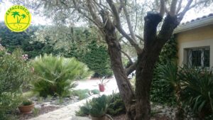 Espace vert et ses plantations sur Mondonville