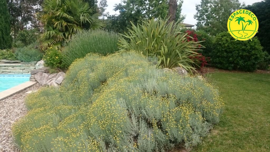 Gestion des plantation par Espacedeco