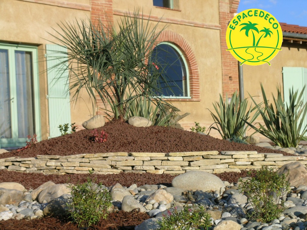 Gros sujet de palmier à Toulouse