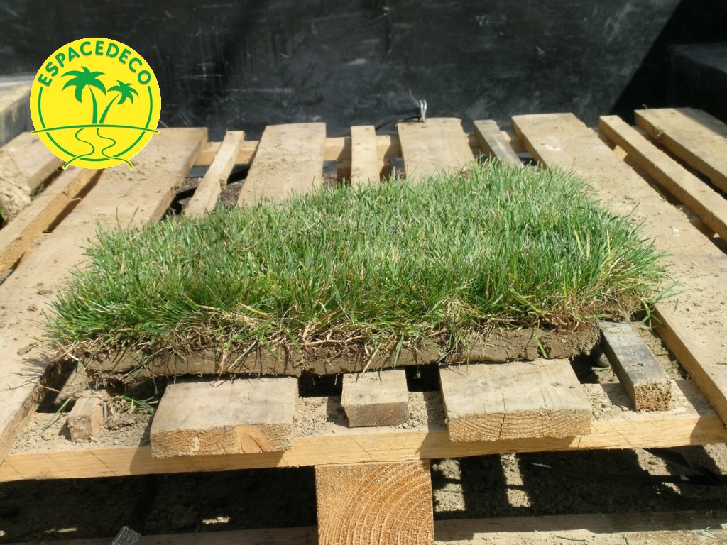 Mise en place de terre à Muret