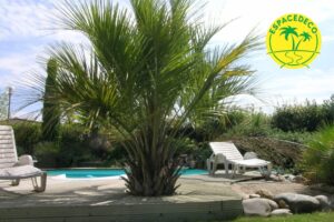 Sujet encastré dans une terrasse bois