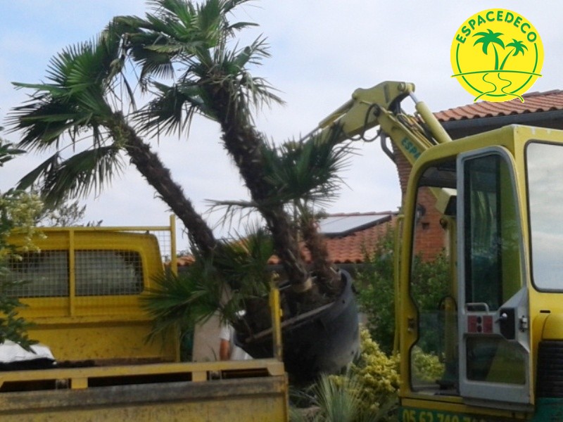 Plantation d’un talut à Toulouse